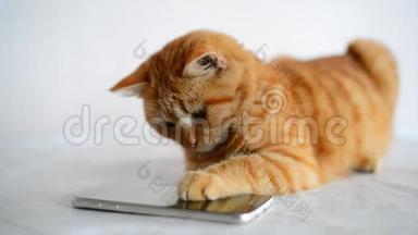 红发小猫在智能手机上<strong>玩电脑</strong>游戏鼠标
